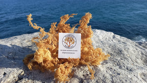 Organic Wildcrafted Raw Sea Moss (DIY)